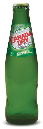 Afbeeldingen van CANADA DRY 20CL