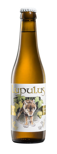 Afbeeldingen van LUPULUS BLOND 33CL