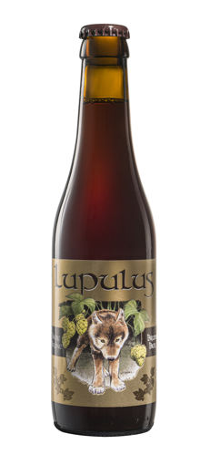 Afbeeldingen van LUPULUS BRUIN 33CL