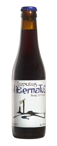 Afbeeldingen van LUPULUS HIBERNATUS 33CL