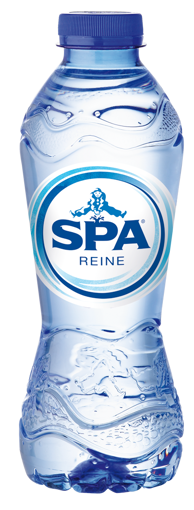 Afbeeldingen van SPA REINE PET 33CL