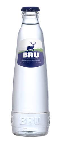 Afbeeldingen van BRU NIET BRUIS 25CL GLAS