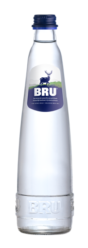 Afbeeldingen van BRU NIET BRUIS 0,5L GLAS
