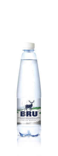 Afbeeldingen van BRU PET 50CL