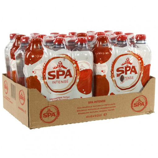 Afbeeldingen van SPA PET BRUIS 50 CL PAK 24 ST