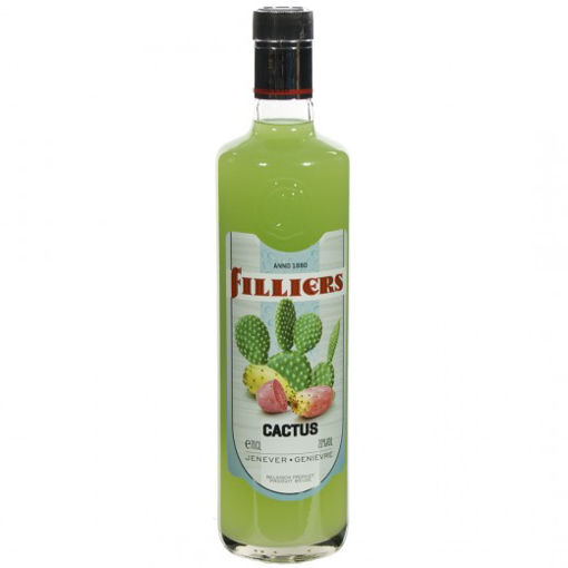 Afbeeldingen van FILLIERS FRUIT JENEVER 20% CACTUS 70 CL