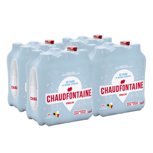 Afbeeldingen van CHAUDFONTAINE BRUIS PET 24X50CL