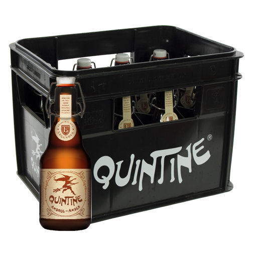 Afbeeldingen van QUINTINE AMBER 12X33CL